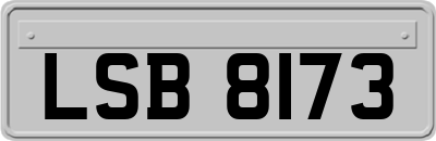 LSB8173