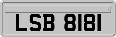 LSB8181