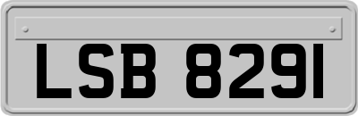 LSB8291
