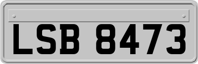 LSB8473