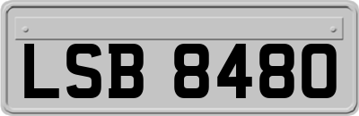 LSB8480
