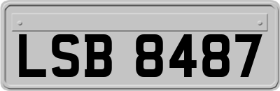 LSB8487