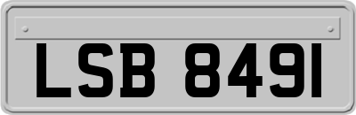 LSB8491