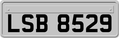 LSB8529