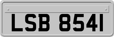 LSB8541