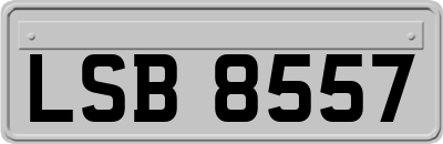 LSB8557
