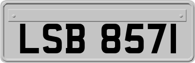 LSB8571