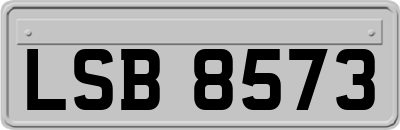 LSB8573