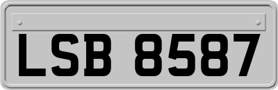 LSB8587
