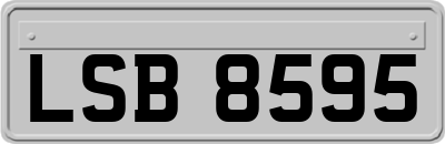 LSB8595