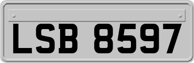 LSB8597