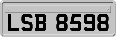 LSB8598