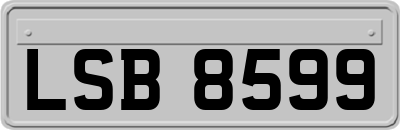 LSB8599