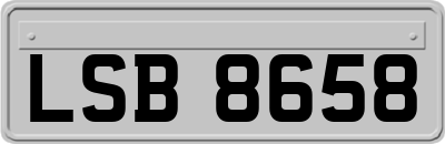 LSB8658