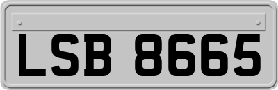 LSB8665