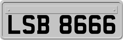 LSB8666
