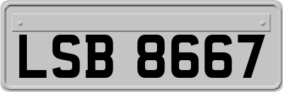LSB8667