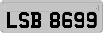LSB8699