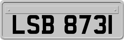 LSB8731