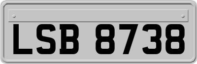 LSB8738
