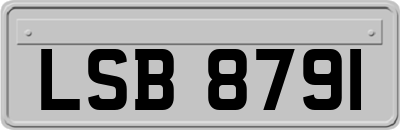 LSB8791