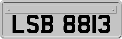 LSB8813