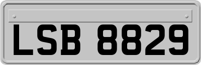 LSB8829