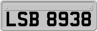 LSB8938