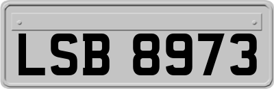 LSB8973
