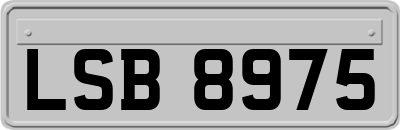 LSB8975