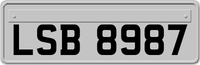 LSB8987
