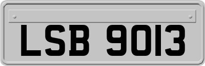 LSB9013