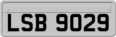 LSB9029