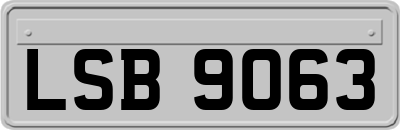 LSB9063