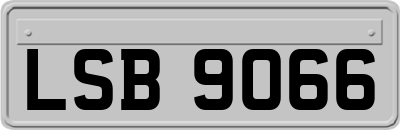 LSB9066