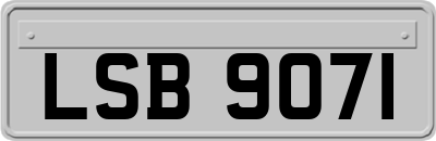 LSB9071