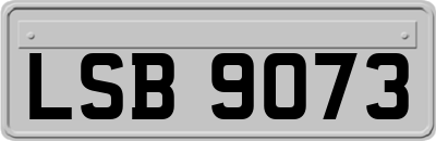 LSB9073