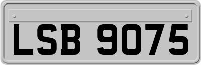 LSB9075