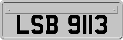 LSB9113