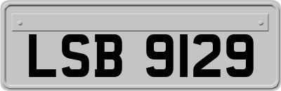 LSB9129