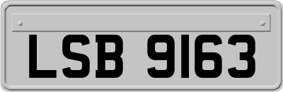LSB9163
