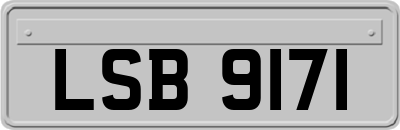 LSB9171
