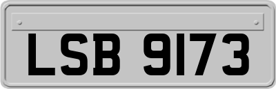 LSB9173