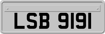 LSB9191