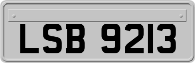 LSB9213