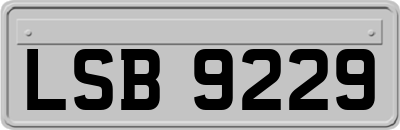 LSB9229