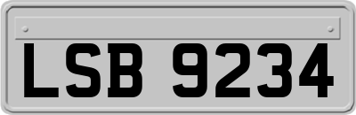 LSB9234