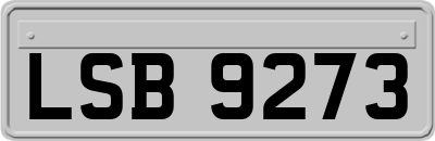 LSB9273