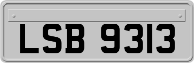 LSB9313