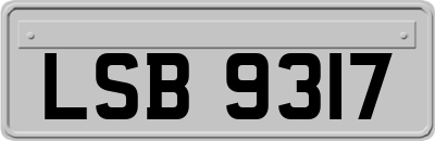 LSB9317